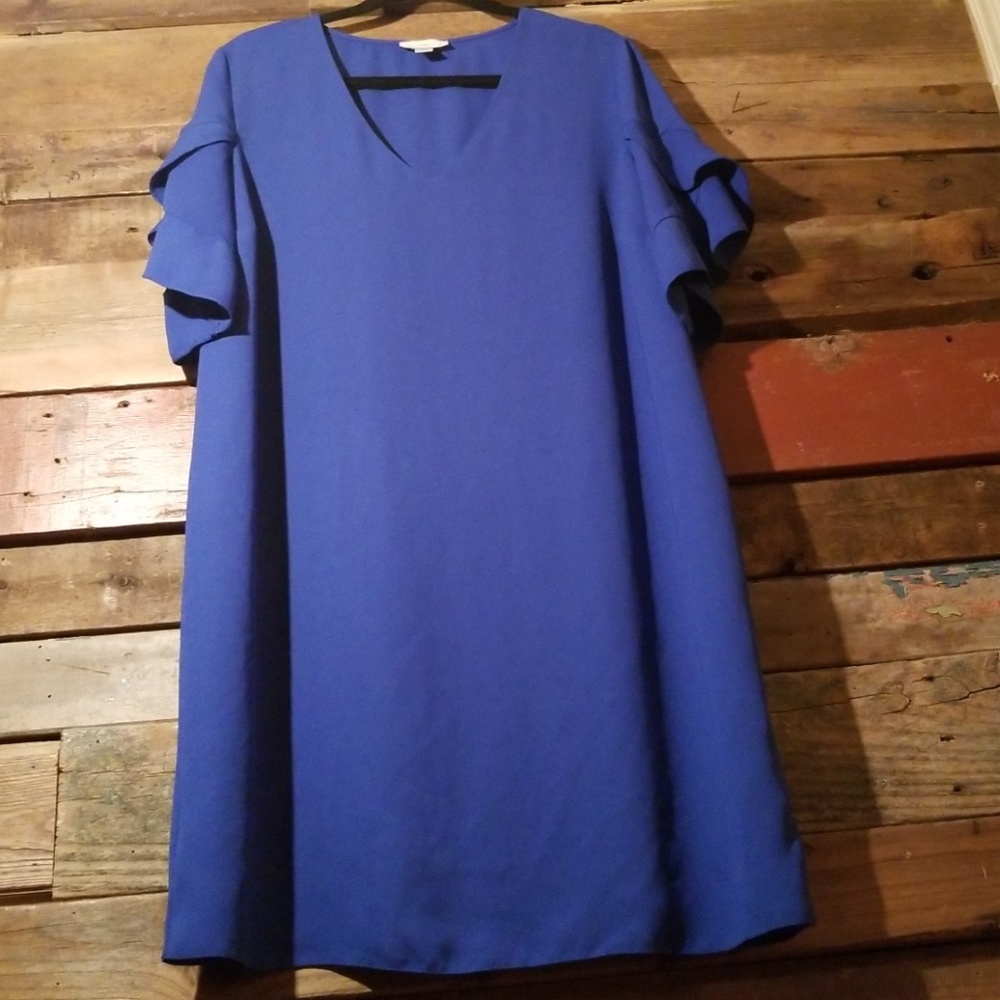 Royal Blue shift dress